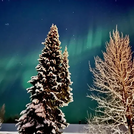 Playful For Friends And Families *