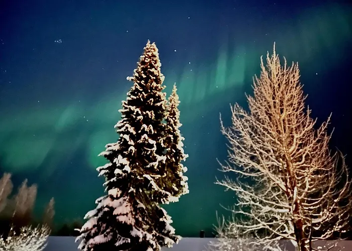 Playful For Friends And Families *