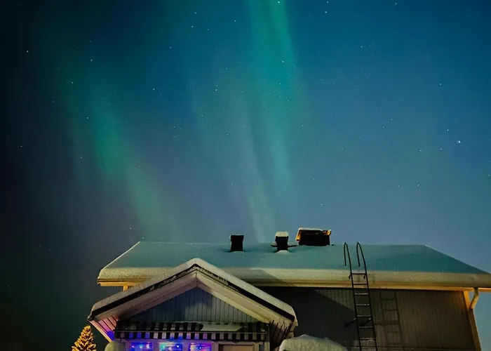 Playful For Friends And Families